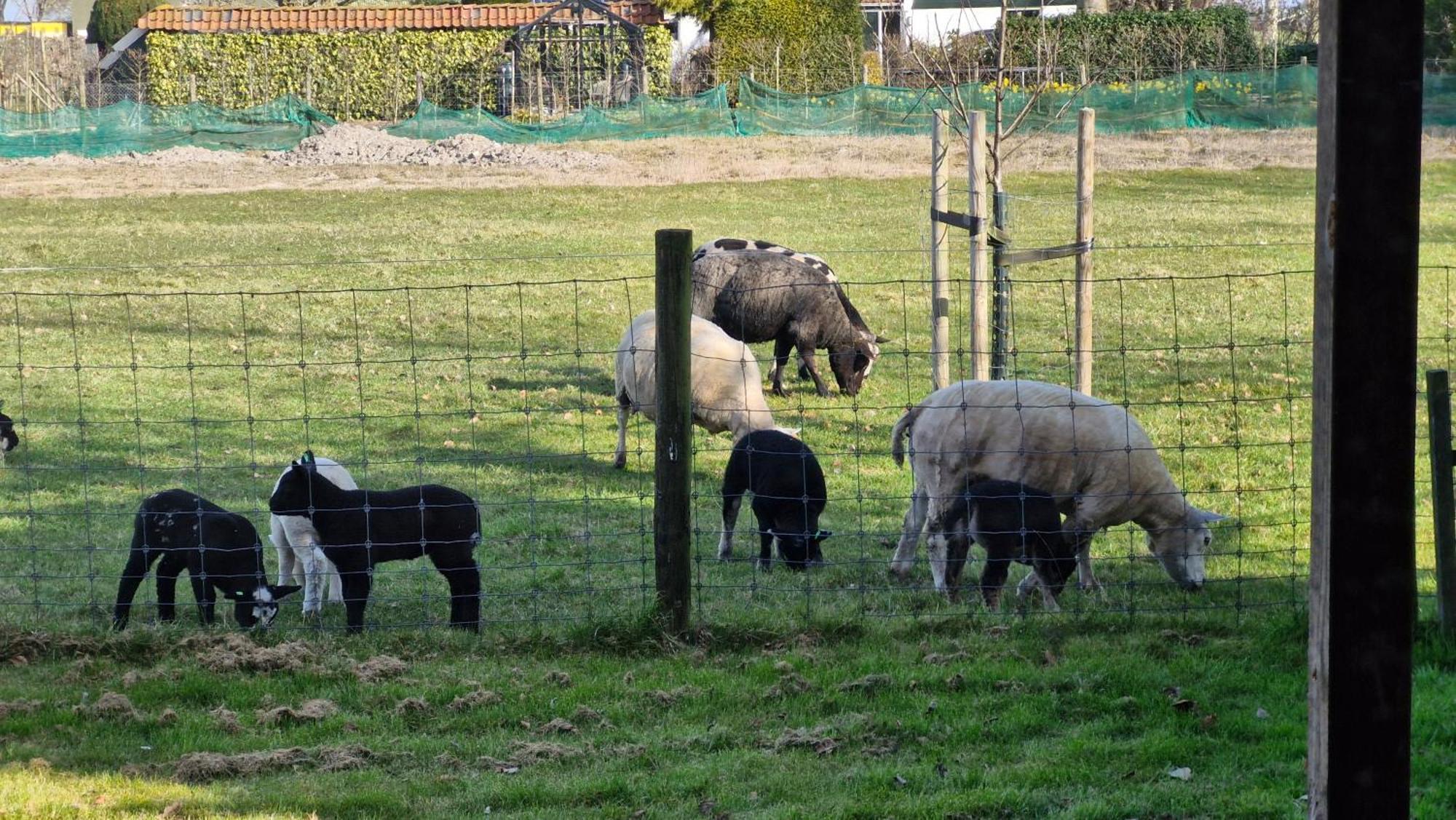 Hemmer Hoeve Kültér fotó